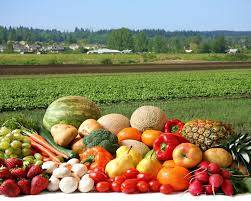 Farm Fresh Vegetables