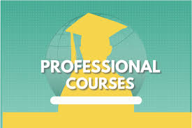 Professional Courses